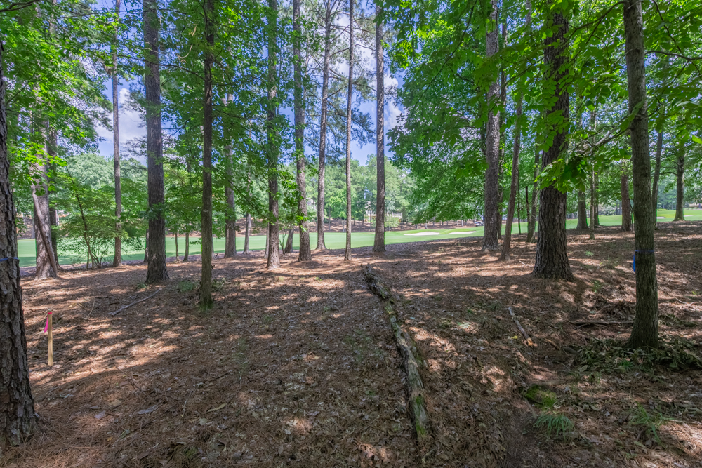 2721 Parrott's Pointe Road image 8